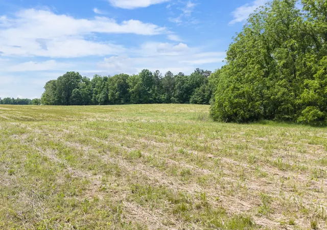 Photo 4 of Land for sale at 0 Mann Rd, Hollow Rock, TN 38342 | MLS# 3228608 | Listing updated on 2026-10-01