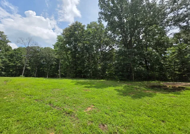 1st image of 0 Baggett Hollow, Cunningham, TN 37052 | MLS# 3228601