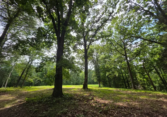 2nd image of 0 Baggett Hollow, Cunningham, TN 37052 | MLS# 3228601