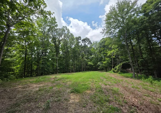 Photo 2 of Land for sale at 0 Baggett Holw, Cunningham, TN 37052 | MLS# 3228601 | Listing updated on 2026-08-19