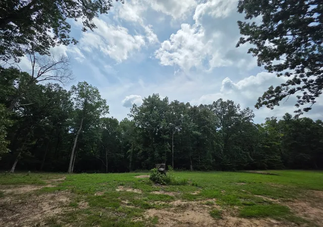 Photo 3 of Land for sale at 0 Baggett Holw, Cunningham, TN 37052 | MLS# 3228601 | Listing updated on 2026-08-19