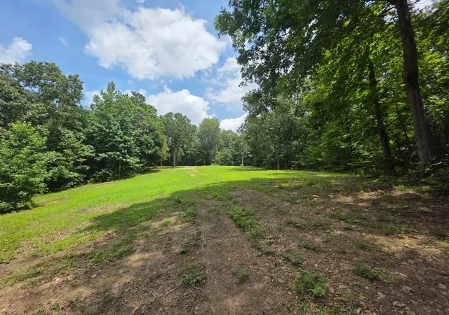 Photo 4 of Land for sale at 0 Baggett Holw, Cunningham, TN 37052 | MLS# 3228601 | Listing updated on 2026-08-19