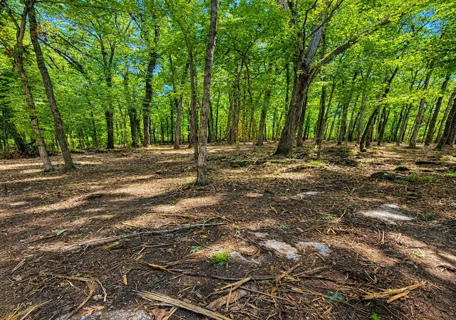 Homes for sale in Mount Juliet, TN | 3612 Benders Ferry Rd, Mount Juliet, TN 37122 | MLS# 3228927