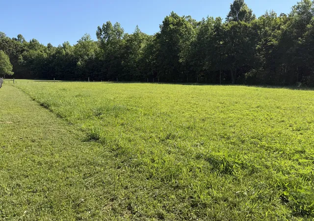 4th image of 28 Cove Hill Rd, Woodbury, TN 37190 | MLS# 3244300