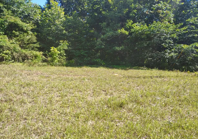 5th image of 363 Wildcat Ln, Lafayette, TN 37083 | MLS# 3228789