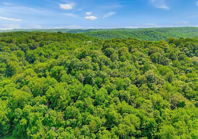 Homes for sale in Whites Creek, TN | 0 Tranham Rd, Whites Creek, TN 37189 | MLS# 3234826