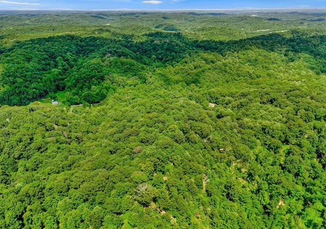 Photo 4 of Land for sale at 0 Tranham Rd, Whites Creek, TN 37189 | MLS# 3234826 | Listing updated on 2026-08-25
