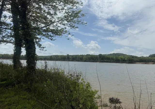 Homes for sale in Clifton, TN | 167 Hardin Bottom River Rd, Clifton, TN 38425 | MLS# 3229042
