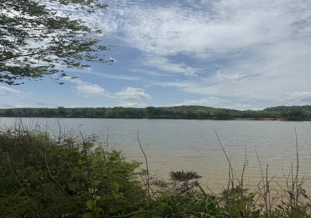 Homes for sale in Clifton, TN | 167 Hardin Bottom River Rd, Clifton, TN 38425 | MLS# 3229042