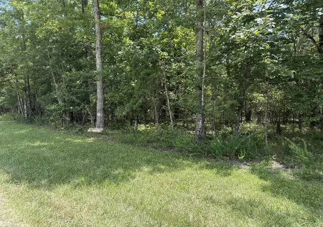 Homes for sale in Spencer, TN | 0 Long Branch Rd, Spencer, TN 38585 | MLS# 3229114
