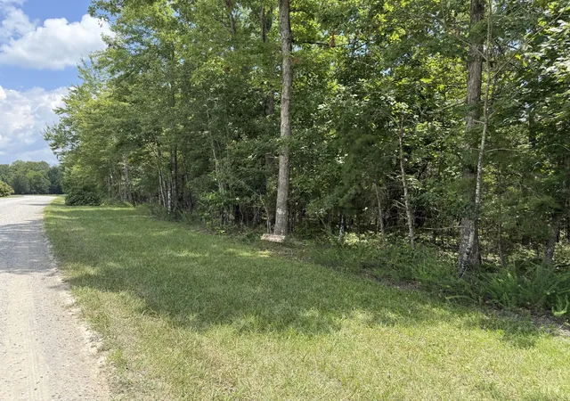 Homes for sale in Spencer, TN | 0 Long Branch Rd, Spencer, TN 38585 | MLS# 3229114