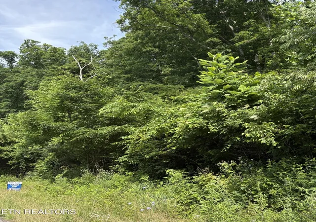 Photo 1 of Land for sale at 5787 Highway 297, Pioneer, TN 37847 | MLS# 3597076 | Listing updated on 2026-09-21