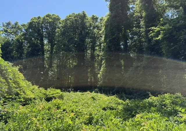 Photo 11 of Land for sale at 0 Wildwood Rd, Mc Minnville, TN 37110 | MLS# 3229499 | Listing updated on 2026-08-19