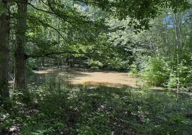 Photo 3 of Land for sale at 0 Wildwood Rd, Mc Minnville, TN 37110 | MLS# 3229499 | Listing updated on 2026-08-19
