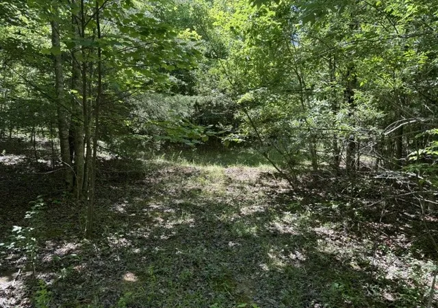Photo 3 of Land for sale at 0 Wildwood Rd, Mc Minnville, TN 37110 | MLS# 3229499 | Listing updated on 2026-08-19