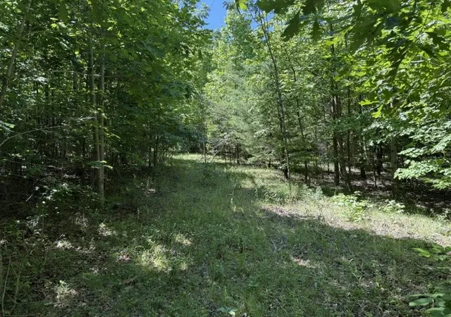 Photo 4 of Land for sale at 0 Wildwood Rd, Mc Minnville, TN 37110 | MLS# 3229499 | Listing updated on 2026-08-19