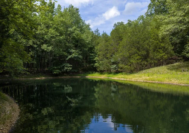 67th image of 1217 Nelson Rd, Dickson, TN 37055 | MLS# 3234205