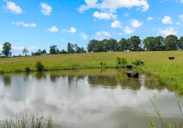 28th image of 0 Saltzer Mountain Road West, Spencer, TN 38585 | MLS# 3229566