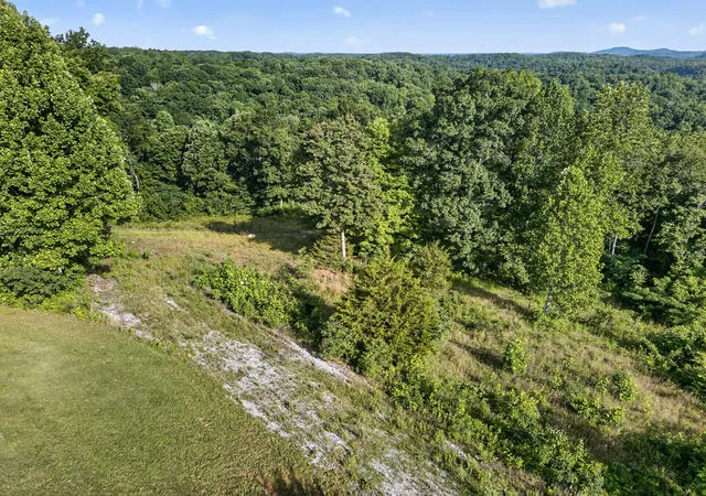 Homes for sale in Allons, TN | 0 Hidden Cove Lane, Allons, TN 38541 | MLS# 3229586
