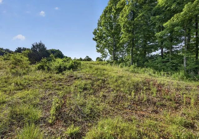 Homes for sale in Allons, TN | 0 Hidden Cove Lane, Allons, TN 38541 | MLS# 3229586