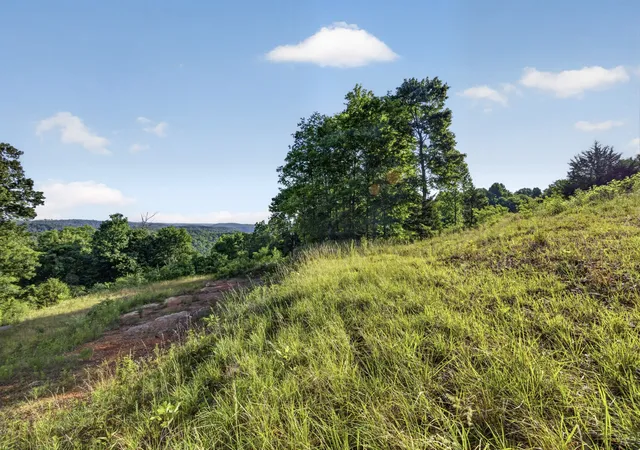 Homes for sale in Allons, TN | 0 Hidden Cove Lane, Allons, TN 38541 | MLS# 3229586