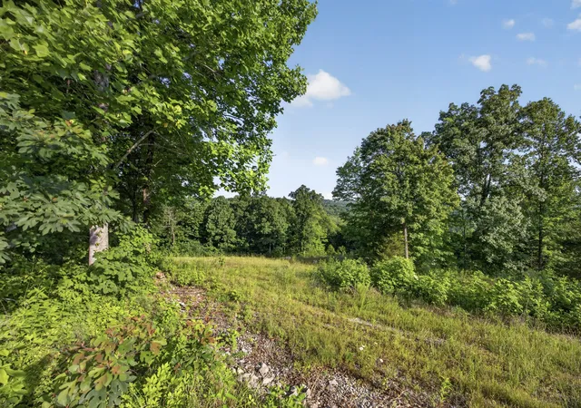 Homes for sale in Allons, TN | 0 Hidden Cove Lane, Allons, TN 38541 | MLS# 3229586