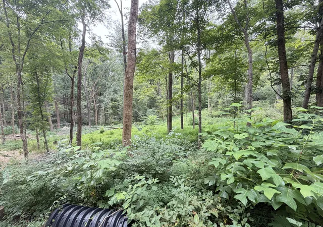 2nd image of 8411 Poplar Creek Rd, Nashville, TN 37221 | MLS# 3516323