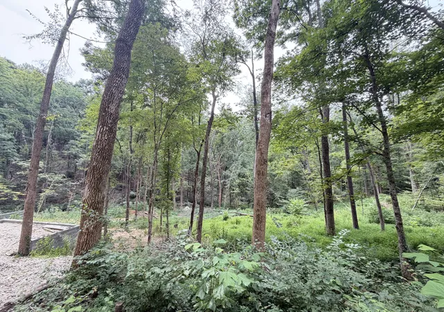 3rd image of 8411 Poplar Creek Rd, Nashville, TN 37221 | MLS# 3516323