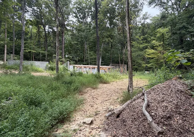 4th image of 8411 Poplar Creek Rd, Nashville, TN 37221 | MLS# 3516323