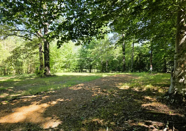 Homes for sale in Buchanan, TN | 12225 Off Hwy 79 N, Buchanan, TN 38222 | MLS# 3229836