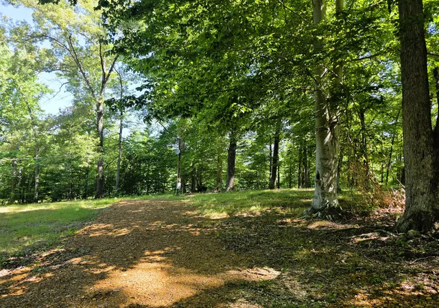 Homes for sale in Buchanan, TN | 12225 Off Hwy 79 N, Buchanan, TN 38222 | MLS# 3229836