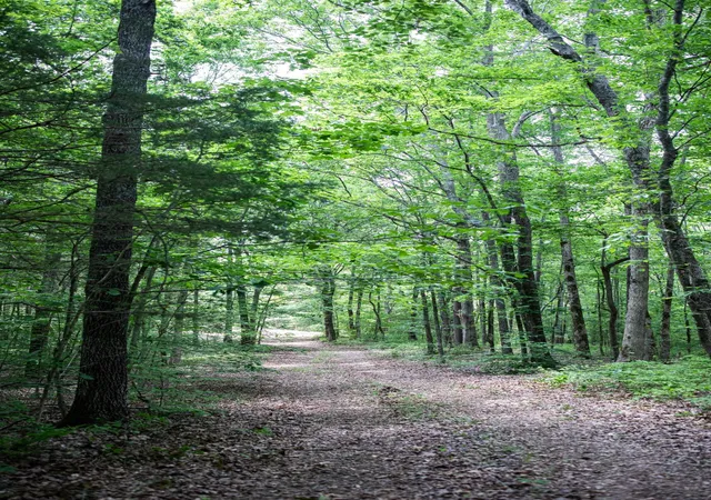 Photo 2 of Land for sale at 5450 Old Hwy 96, Franklin, TN 37064 | MLS# 3230680 | Listing updated on 2026-08-19