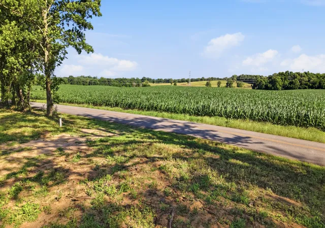 Homes for sale in Castalian Springs, TN | 0 Ben Armstrong Rd, Castalian Springs, TN 37031 | MLS# 3229795