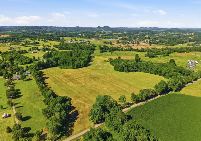 Homes for sale in Castalian Springs, TN | 0 Ben Armstrong Rd, Castalian Springs, TN 37031 | MLS# 3229795