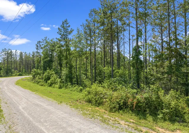 Homes for sale in Linden, TN | 310 Highland Dr, Linden, TN 37096 | MLS# 3231312