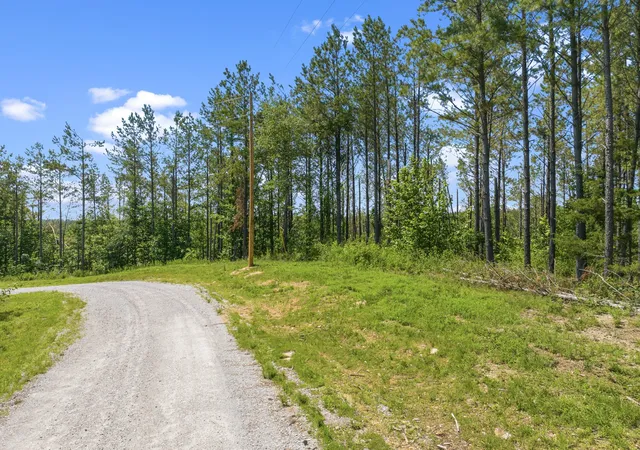 Photo 3 of Land for sale at 310 Highland Dr, Linden, TN 37096 | MLS# 3231312 | Listing updated on 2026-08-19
