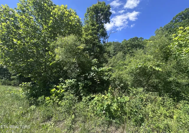 Homes for sale in Jamestown, TN | 1020 Tomahawk Rd, Jamestown, TN 38556 | MLS# 3229815