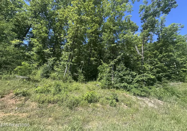Photo 3 of Land for sale at 1020 Tomahawk Rd, Jamestown, TN 38556 | MLS# 3229815 | Listing updated on 2026-09-01