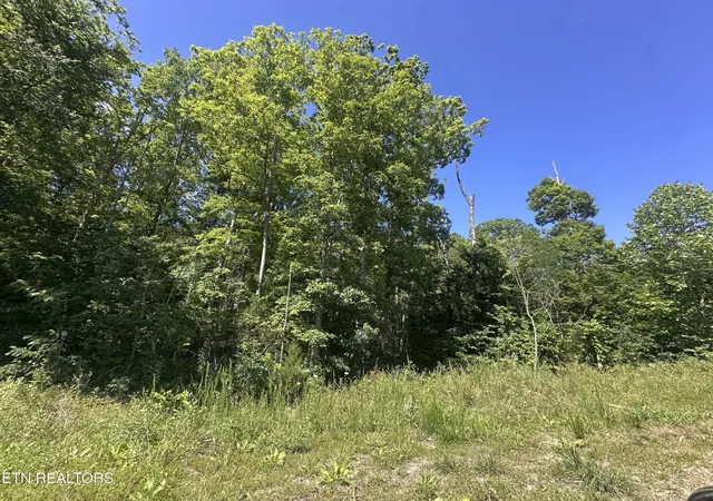Homes for sale in Jamestown, TN | 1020 Tomahawk Rd, Jamestown, TN 38556 | MLS# 3229815