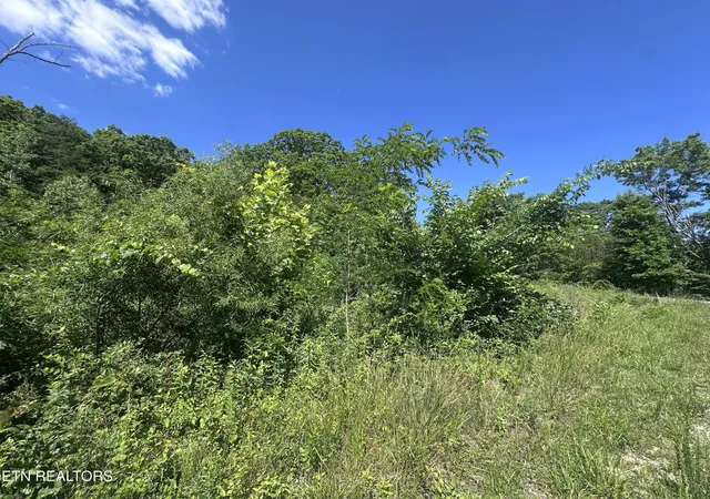 Homes for sale in Jamestown, TN | 1020 Tomahawk Rd, Jamestown, TN 38556 | MLS# 3229815