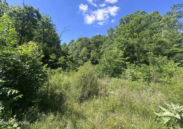 Homes for sale in Jamestown, TN | 1020 Tomahawk Rd, Jamestown, TN 38556 | MLS# 3229815