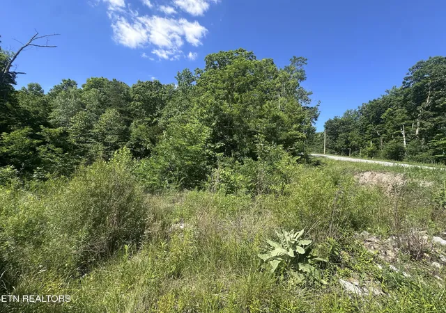 Homes for sale in Jamestown, TN | 1020 Tomahawk Rd, Jamestown, TN 38556 | MLS# 3229815