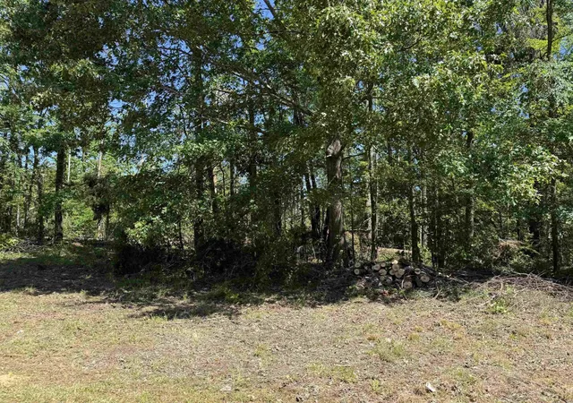 Homes for sale in Savannah, TN | 0 Clement Dr, Savannah, TN 38372 | MLS# 3229826