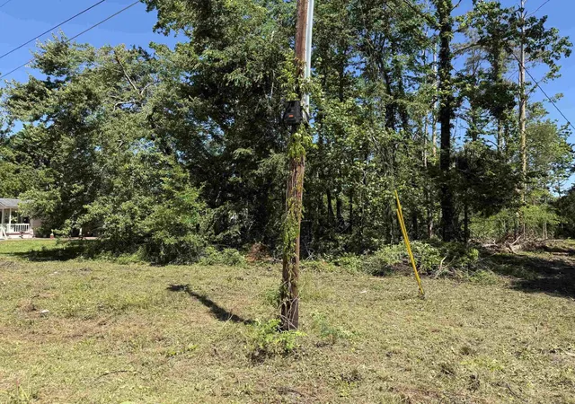 image of 0 Clement Dr, Savannah, TN 38372 | MLS# 3229826