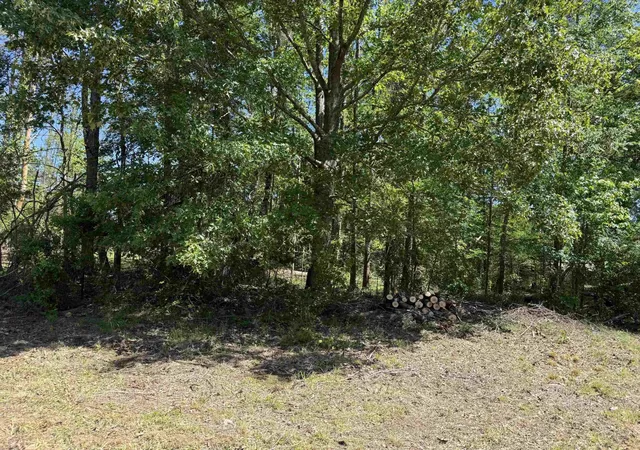 Homes for sale in Savannah, TN | 0 Clement Dr, Savannah, TN 38372 | MLS# 3229826
