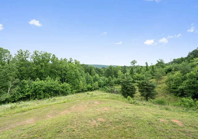 Homes for sale in Spring City, TN | 198 Spring Road, Spring City, TN 37381 | MLS# 3229944