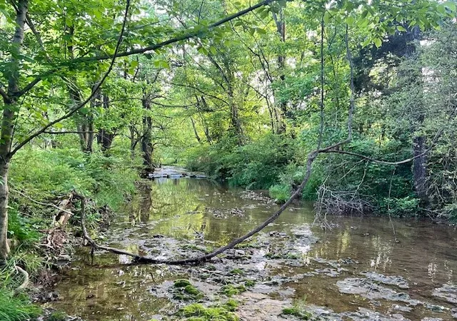 2nd image of 698 Clearview Rd, Cottontown, TN 37048 | MLS# 3230433