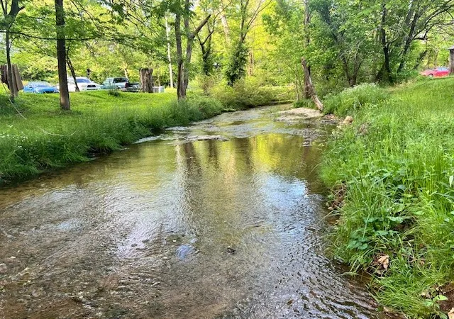 3rd image of 698 Clearview Rd, Cottontown, TN 37048 | MLS# 3230433