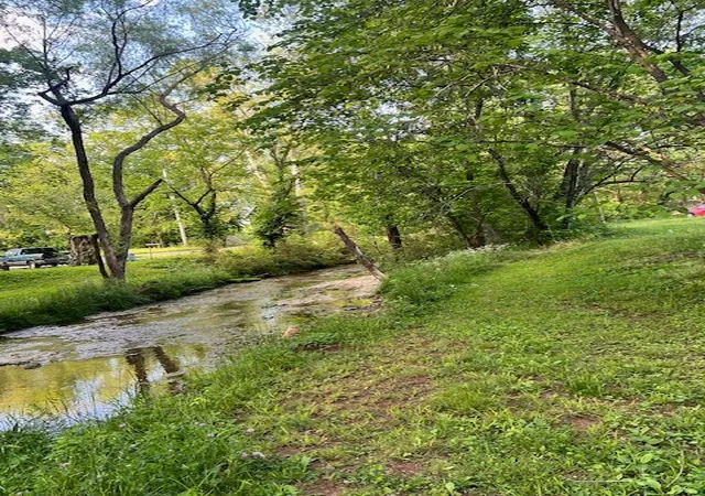 5th image of 698 Clearview Rd, Cottontown, TN 37048 | MLS# 3230433