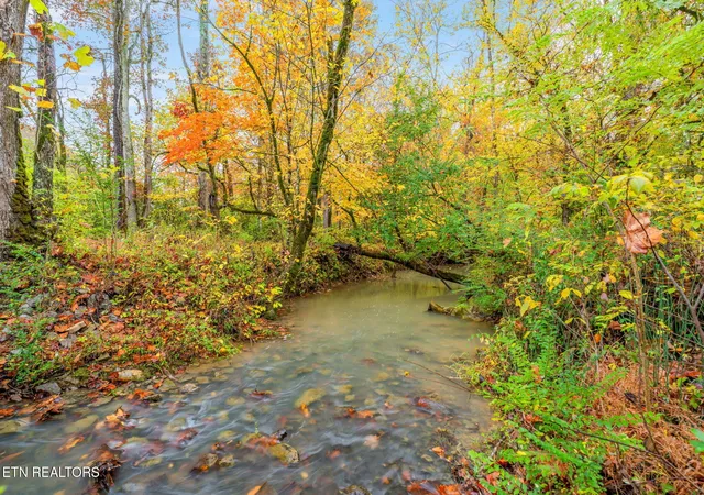 4th image of 732 N Wooddale Rd, Knoxville, TN 37924 | MLS# 3230095
